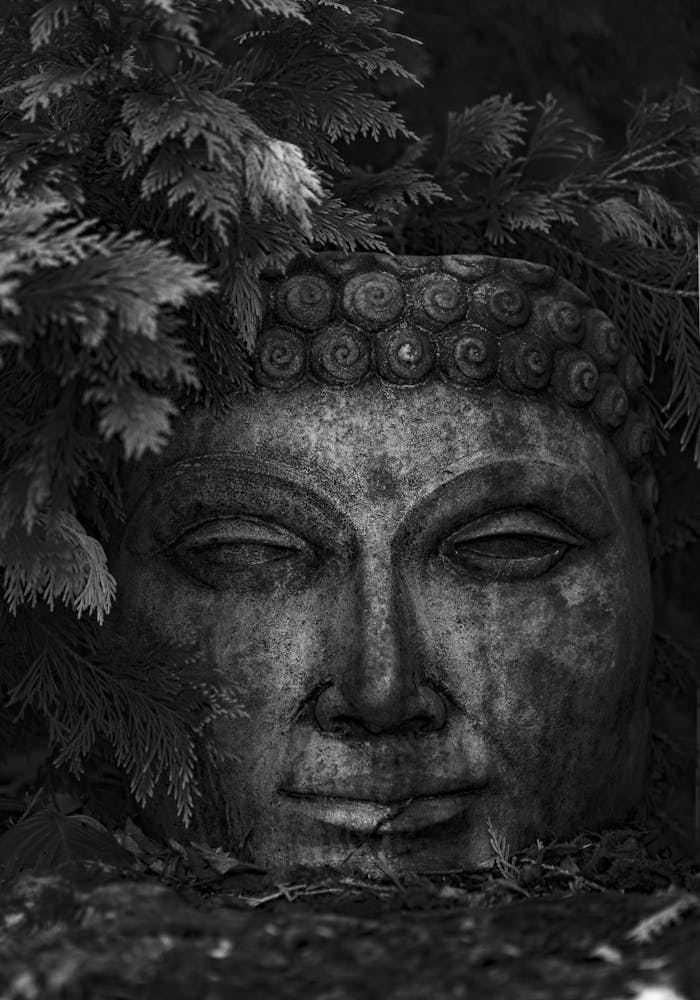 A black and white photo of a serene Buddha sculpture surrounded by lush foliage, exuding spirituality.